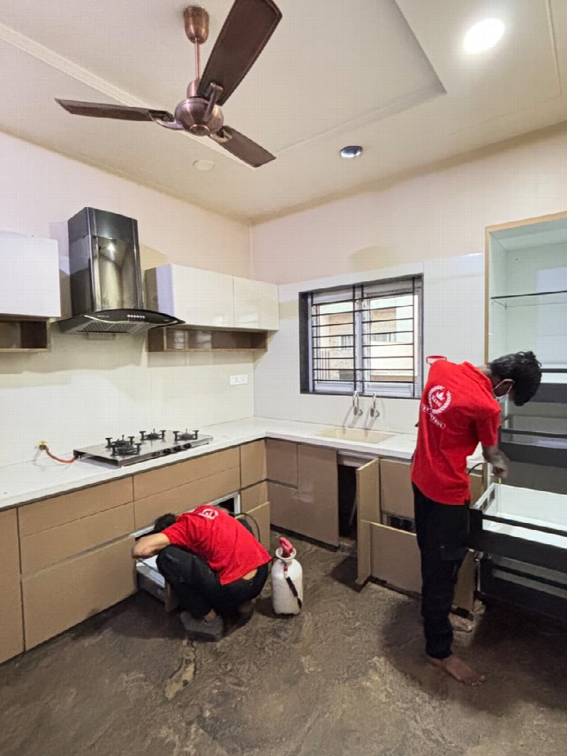 Cockroach Control — Pest Control King
