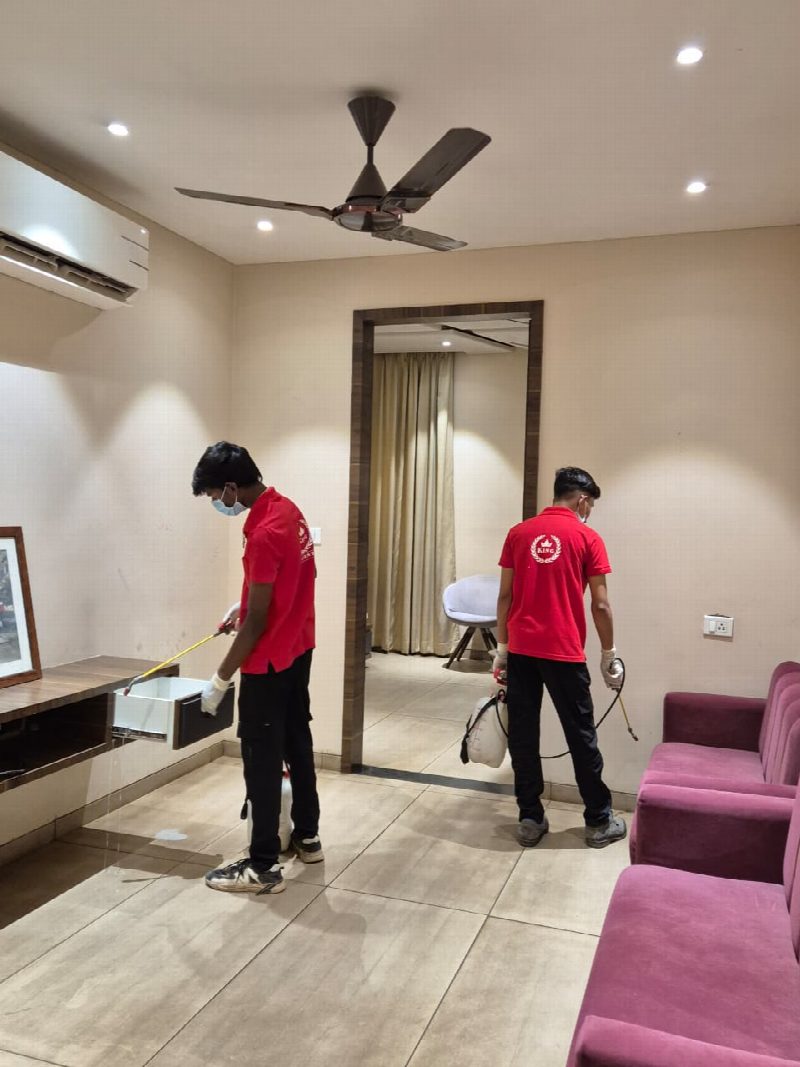 General Pest Control — Pest Control King