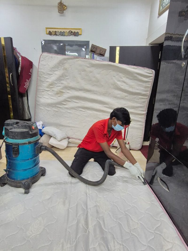 Bed Bug Removal — Pest Control King