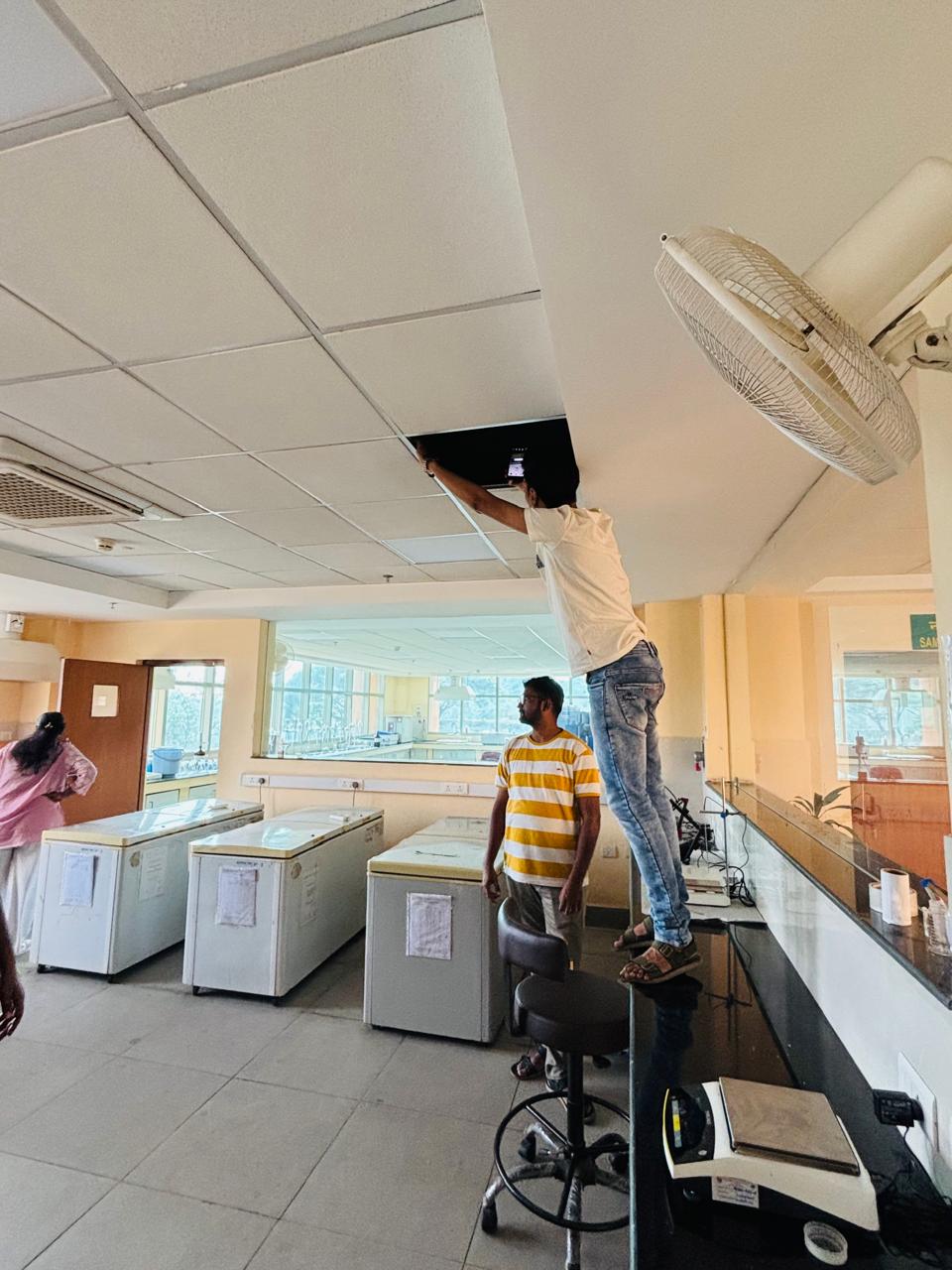 Pest control team at work